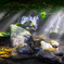 beam of light