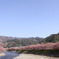 photo_130789
