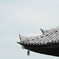満月寺 浮御堂