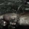 Splash Water test 06