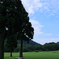 高原の朝