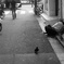 鳩と一人と