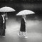 出雲大社