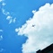 夏雲