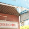 tobacco