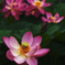 DSC01320