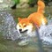 ①あっ！パパだ！