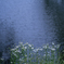 2025/06/07 水辺で・・・♡