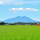 梅雨明け初日の筑波山