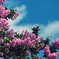 なつ空