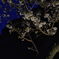 夜が来る