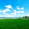 夏空風景