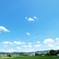 夏の風