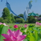 不忍池の夏