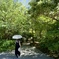 夏の散策路