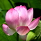 DSCN0083