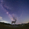 Deer Milky Way