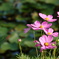 DSC00186