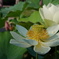 DSC00191