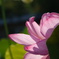 DSC00193