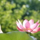 DSC00200
