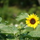 DSC00228