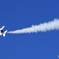 「SKY」✈ ぶるーいんぱるす ✈