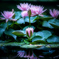 水上の花舞台