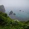 雨の島武意海岸
