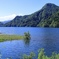 深緑の湖