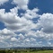 夏空