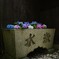 花手水