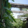 日陰