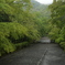 青もみじの馬場