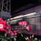 夜行列車