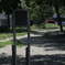 _1090825_DxO