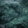 青時雨…⋰⋰ ☂