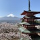外国人観光客に人気の場所