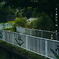 写真歌：夕散歩７：一期一会