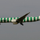 「くもり」Condor Green Island  [緑]  A330-900