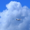 夏空へ向かって