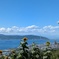 夏山