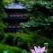 三室戸寺