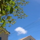 夏空