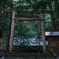 天岩戸神社 東本宮 鳥居