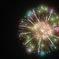 Night Flower