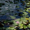 平池公園７（加東市）