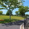 平池公園１１（加東市）