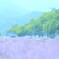 河口湖ラベンダー
