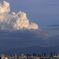 夏雲という積雲